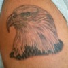 eaglehead